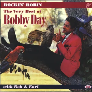 Rockin' Robin : the very best of Bobby Day